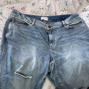 Lane Bryant Blue Denim Jeans